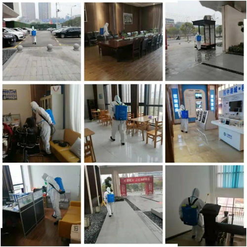金地智慧服务集团武汉公司前期项目四季度服务报告 科技加持下的品质升级